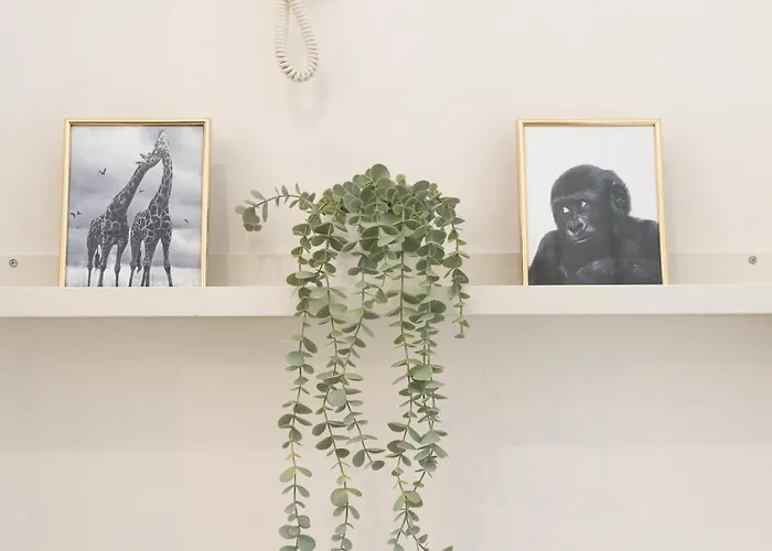 Nuovissimo Bilocale A 40 Metri Dal Mare